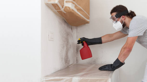 Professional Basement Mold Remediation technician working in Jackson, TN