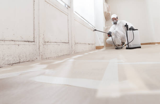 24/7 Emergency Basement Mold Remediation experts in Jackson, TN